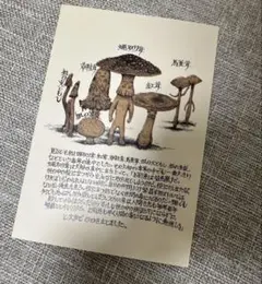 Item thumbnail for item 585ee8cf-981e-4136-877c-7ac526b8d21b