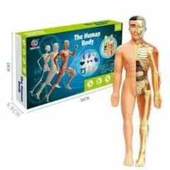 Item thumbnail for item c7a0b606-f002-4643-b57f-4f05cc1762ed