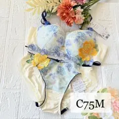 2025年最新】ワコールサルートc75の人気アイテム - メルカリ