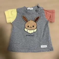 monpoke イーブイ