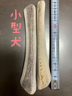 鹿の角　四つ割　32番のサムネイル