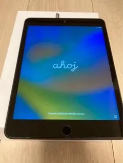 【美品】iPad mini （第5世代） Wi-Fi 64GB スペースグレイ