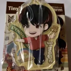 新品 箱入り TinyTANアクリルチャームキーホルダー BTS タイニータンD