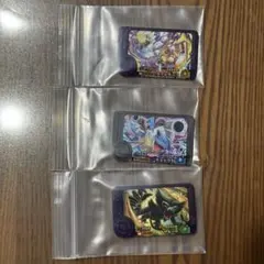 【匿名配送】ポケモンフレンダ　メガカメックス　タケルライコ　ザルード