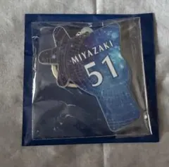 Item thumbnail for item bf13ba4a-62ac-4ebb-8b12-0a1a0af60369