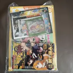 ジャンプビクトリーカーニバル2025セット 入場特典　未開封　値下げ