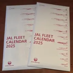 JAL FLEET CALENDAR 2025 2冊セットのサムネイル