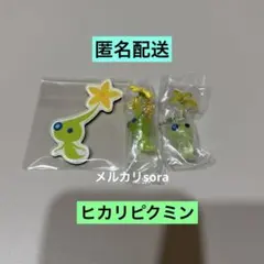 ヒカリピクミン　キャラマグネッツ・マスコットグミ2・めじるしアクセサリー2