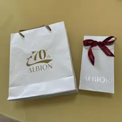 ALBION 70th 記念ショップ袋のサムネイル