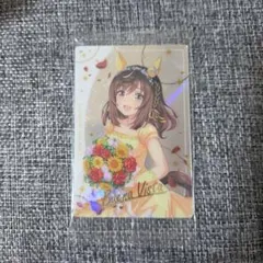 ウマ娘 プリティーダービー ブエナビスタ カード
