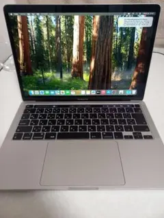 MacBook Pro 13インチ 2020 本体のサムネイル