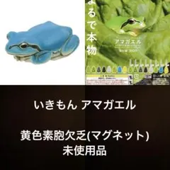 いきもん ネイチャーテクニカラー アマガエル ガチャ 黄色素胞欠乏 マグネット