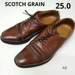 超美品□コールハーン【25.5】ウィングチップ キャンブリッジ オックス 