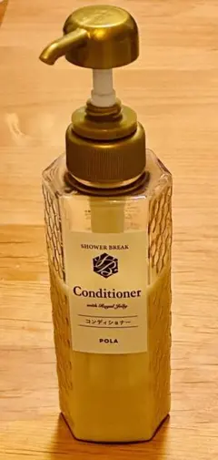 アンズ様専用POLA SHOWER BREAK ボディソープ 900ml空ボトル - メルカリ