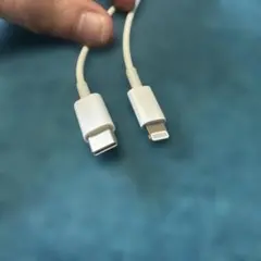 Lightning to C type（USB-C）ケーブル ホワイト 1m