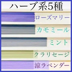 Item thumbnail for item 5f32ee14-c7f8-48eb-b997-9f281b93b01a