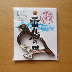2026年最新】雷鳥 キーホルダーの人気アイテム - メルカリ