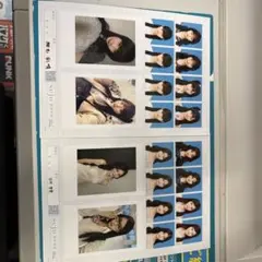 seju 証明写真 vol.2 椎名彩晴 田仲埜愛