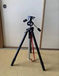 Item thumbnail for item 913f6210-1ba2-4024-afdc-f4a54e39de21