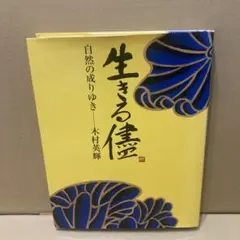 生きる儀 自然の成りゆき 木村英輝 作品集 アートブック 芸術 本