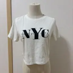 レディース　トップス　半袖　M ショート丈　白　ホワイト　夏　Tシャツ