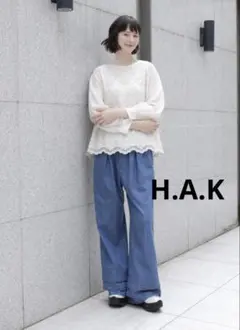 【極美品】H.A.K チュール刺繍レース　プルオーバーカットソートップスのサムネイル