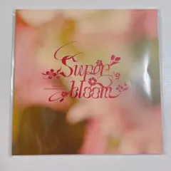 2025年最新】Starry symphony パンフレットの人気アイテム - メルカリ