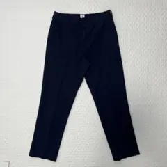 ANATOMICA トリムフィットパンツ W31のサムネイル