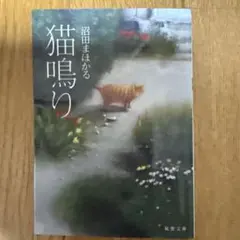 Item thumbnail for item 80de5207-f0c9-4cde-b97a-161fabcbc830