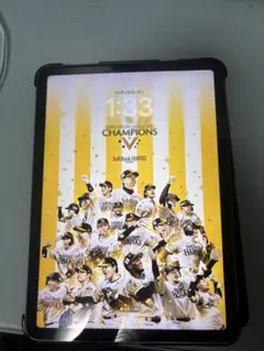 Apple iPad air 第四世代 256gb