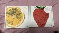 Item thumbnail for item e0218e3e-a99a-4383-b4b8-d8787b311669