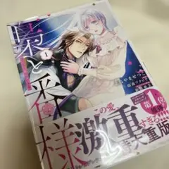 2026年最新】梟と番様の人気アイテム - メルカリ