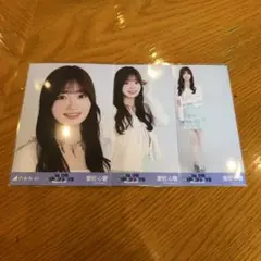 Item thumbnail for item e487d97b-f441-455b-8fc7-d982031b2d58