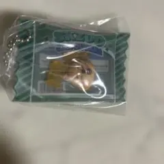 SKZOO HAN QUOKKA ハン クオッカ シャカっとチャーム&グミ
