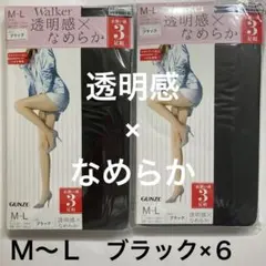 グンゼ　Ｗａｌｋｅｒ　透明感×なめらか　ブラック　Ｍ〜Ｌ　６足