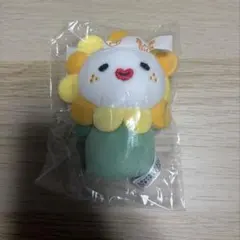 2025年最新】bira jochumの人気アイテム - メルカリ