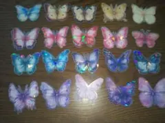 Item thumbnail for item b1efb68e-1220-4899-a6fe-e20ffcae5e12