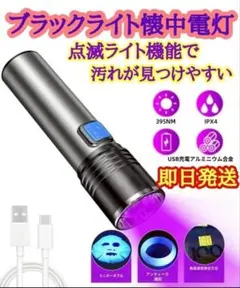 【即日発送】充電式UVブラックライト懐中電灯395nm点滅 2のサムネイル