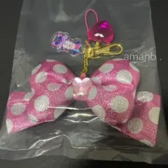 ミニーのファンダーランド キーチェーン　シークレット