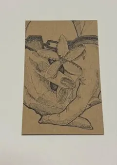 一点物 手描きイラスト ミニ原画 ナチュラル インテリア 【ジャスミン】