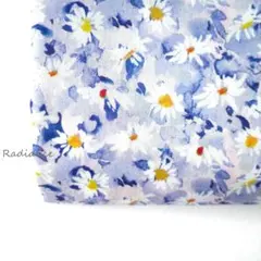 のんたん♡様専用ページです☆