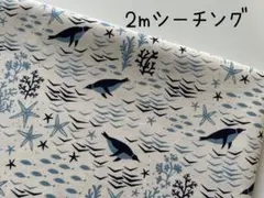 ONE N’ ONLY様 リクエスト 2点 まとめ商品