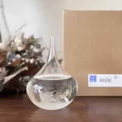 Fun Science ストームグラス しずく