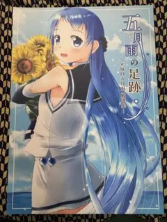 艦隊これくしょん　五月雨の足跡 ～♯毎日五月雨 厳選集～ /Mae /かわらそば