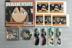 ハイキュー‼︎ 烏野高校 山口 忠