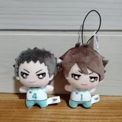 ハイキュー☆マスコット☆及川徹