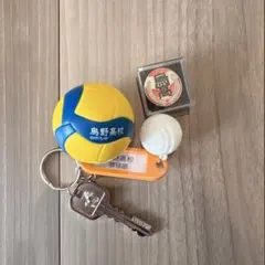 ハイキュー!! トレーディング高校名付き鍵チャームキーホルダー