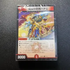 特攻の忠剣ハチ公 ハチ公デッキ ドキドキつよいデッキ 25の王道 - メルカリ