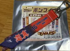 楽天イーグルス #46 藤平選手 お名前ボンフィン
