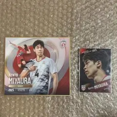 宮浦健人選手　バレーボール男子日本代表